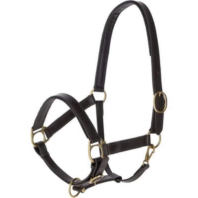 Leren halster voor paarden Kerbl Eco