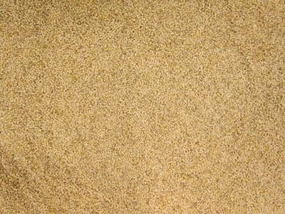 VOGELVOEDERS Senegalgierst/Panicum