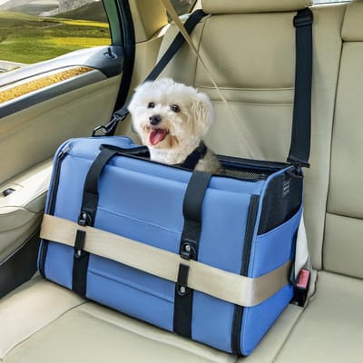 Reisbox Dier - Draagmand Kat - Veilig Transport - Gepatenteerde Autobevestiging - 48 x 305 x 305 cm - Blauw