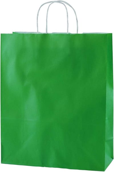 Groene papieren herbruikbare zakken met gedraaide handvatten, 250 x 110 x 310 mm - 50 stuks