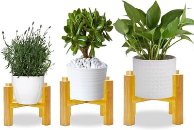 Omgoods - Set van 3 Houten Plantstands voor Binnen en Buiten