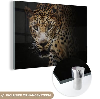 MuchoWow® Glasschilderij 120x80 cm - Schilderij acrylglas - Luipaard - Wilde dieren - Licht - Foto op glas - Schilderijen