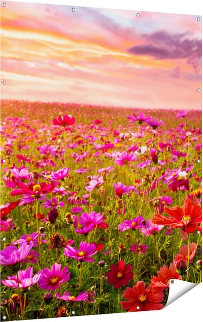 Gards Tuinposter Kleurrijke Kosmos Bloemenveld - 120x160 cm - Tuindoek - Tuindecoratie - Wanddecoratie buiten - Tuinschilderij