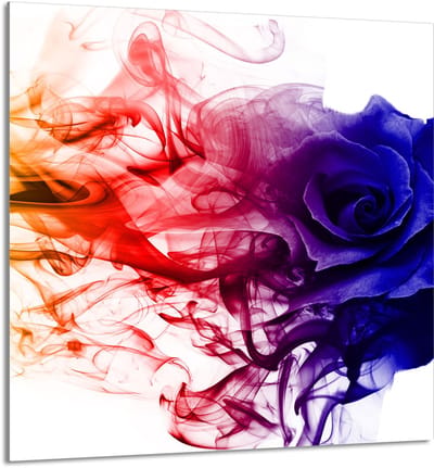 TMK ArtDeko - Glazen Keukenpaneel - 60x65 cm - Róża - Roze