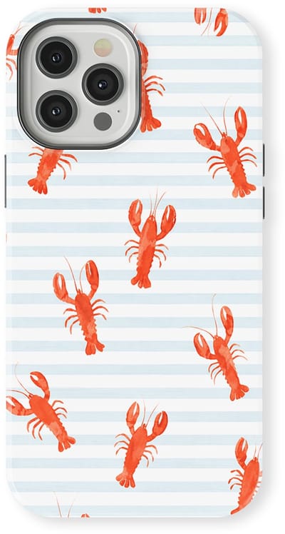 DripCase Hoesje geschikt voor iPhone 12 Pro | Happy Stripes Motief | Magnetisch Opladen | 2-in-1 Ontwerp | Vrolijke Backcover geschikt voor iPhone 12 Pro Lobster Lanes
