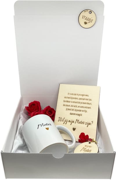 Geschenkbox Wil jij mijn METER zijn? | rood | MOK | sleutelhanger | zeeproosjes | meter vragen | meter worden | peettante vragen | peettante worden | cadeau | doosje met een vraag