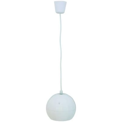 Omnitronic WP-2H PA-plafondluidspreker 20 W 100 V Wit 1 stuk(s)