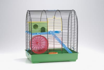 Beeztees City2 - Knaagdierkooi - Zwart/Groen - 37x25x39 cm