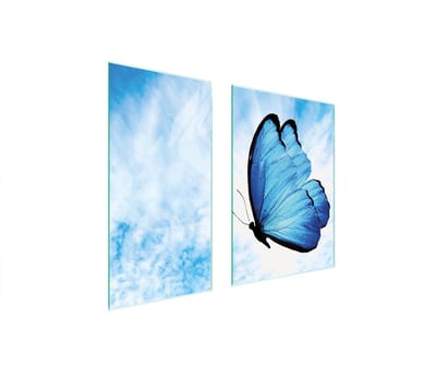 TMK ArtDeko - Staartbescherming - 75x52cm - Motyl - Geforceerd Glas