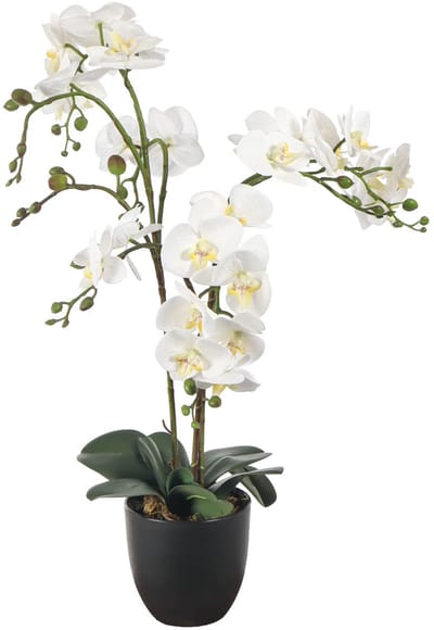 Kunst Orchideeplant Wit – 65 cm – Real Touch bloemen – In Zwarte Pot – Kunstplant kant en klaar