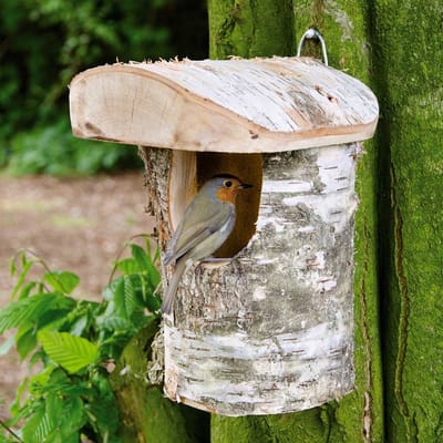 CJ Wildlife Nestkast - Aanbevolen door de Vogelbescherming Nederland - Stockholm - Halfopen - Nestkastje - Houten Vogelhuisje - FSC-gecertificeerd