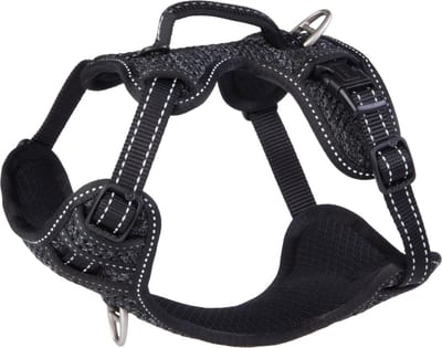 Rogz Explore Tuig Gevoerd Zwart - Hondenharnas - S 36-57 Cm