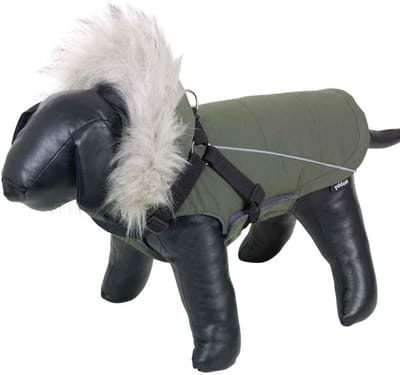 Hondenjas - Honden kleding - Warmte en comfort - Geïntegreerde riem - 48 cm - Groen