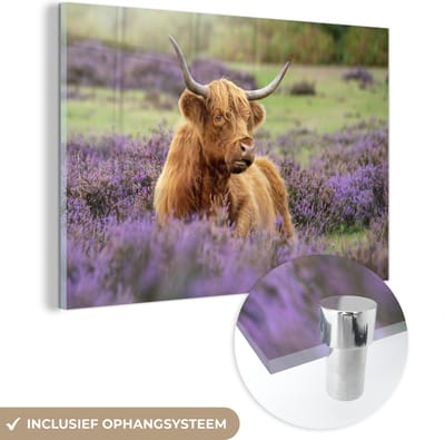 MuchoWow® Glasschilderij 120x80 cm - Schilderij acrylglas - Schotse Hooglander - Bruin - Struiken - Foto op glas - Schilderijen