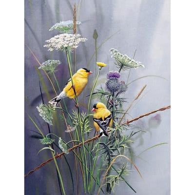 5D DIY diamant schilderij  Bloem vogel  3D dier borduurwerk kruissteek strass mozaïek decor 20X30CM gray