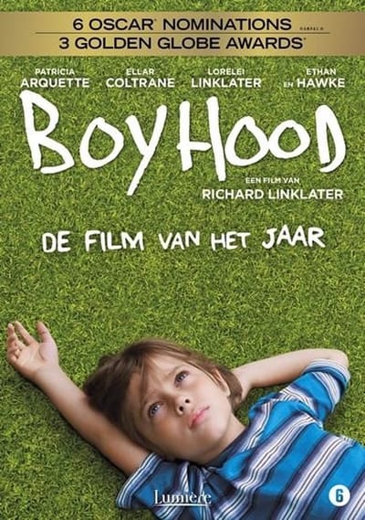 Boyhood (DVD)