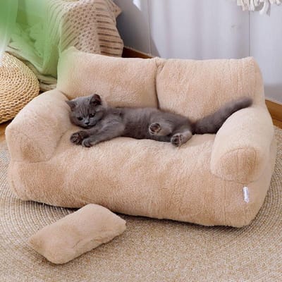 Lit pour chat en peluche Ultra-doux, lits pour chiens et chats d'intérieur, canapé pour chat, soulage les muscles et les articulations M beige