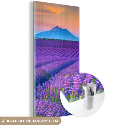 MuchoWow® Glasschilderij 20x40 cm - Schilderij acrylglas - Lavendel - Paars - Bloemen - Foto op glas - Schilderijen