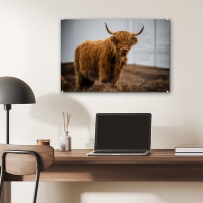 MuchoWow® Glasschilderij 60x40 cm - Schilderij acrylglas - Schotse Hooglander - Duin - Gras - Foto op glas - Schilderijen