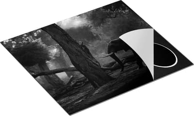 Chefcare Inductie Beschermer Olifant in het Bos - Zwart Wit - 60x50 cm - Afdekplaat Inductie - Kookplaat Beschermer - Inductie Mat