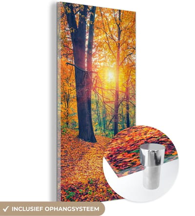 MuchoWow® Glasschilderij 20x40 cm - Schilderij acrylglas - Bomen - Herfst - Bos - Herfstbladeren - Foto op glas - Schilderijen
