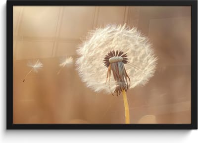 Poster in lijst - Fotolijst 60x40 cm - Posters - Paardenbloem - Beige - Natuur - Bloem - Posterlijst zwart - Decoratie - Wanddecoratie woonkamer - Muurdecoratie slaapkamer
