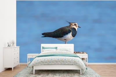Behang - Fotobehang Vogel - Dieren - Paal - Blauw - Kievit - Breedte 320 cm x hoogte 240 cm