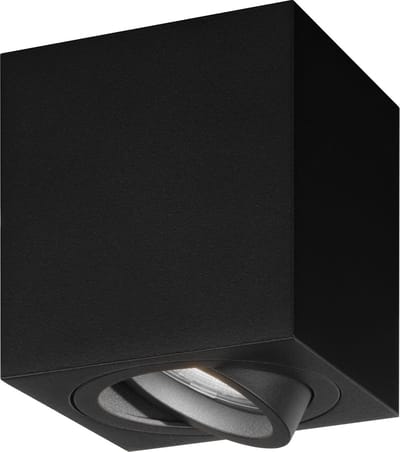Ledvion - LED Opbouwspots - Dimbaar - 3W - 6500K - Zwart