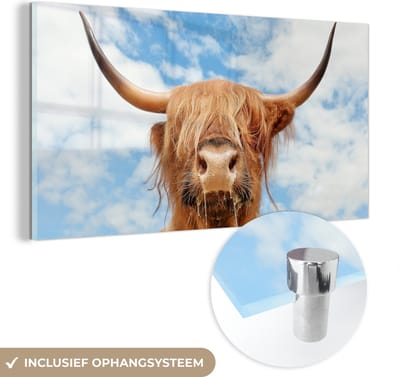 MuchoWow® Glasschilderij 40x20 cm - Schilderij acrylglas - Schotse Hooglander - Wolk - Dieren - Foto op glas - Schilderijen