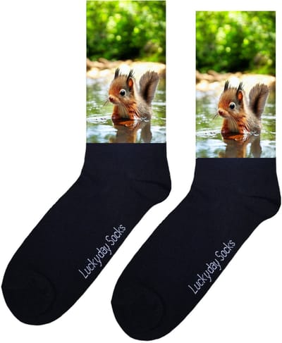Eekhoorn - Opkikker - Grappige sokken - Valentijns cadeau - Verjaardag cadeau - Sint cadeau - Leuke sokken - Aparte sokken - Vrolijke sokken - Bos - Beek - Grappige cadeau - Kerstsokken - Vaderdag - Moederdag - Socks maken Happy - 37-44