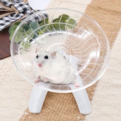 Hamster Loopfiets - 7 inch Oefenwiel voor Kleine Huisdieren, Stil en Veilig, Wit