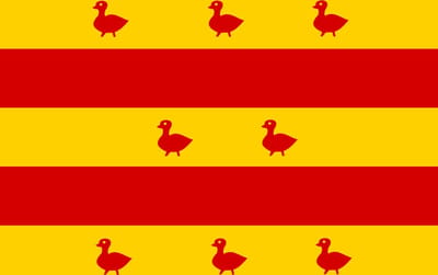 Vlag Grave 70x100cm