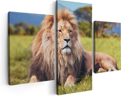 Artaza Canvas Schilderij Drieluik Leeuw - 90x60 - Foto Op Canvas - Canvas Print