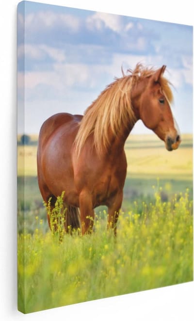Artaza Canvas Schilderij Bruin Paard In De Wei - 30x40 - Klein - Foto Op Canvas - Canvas Print