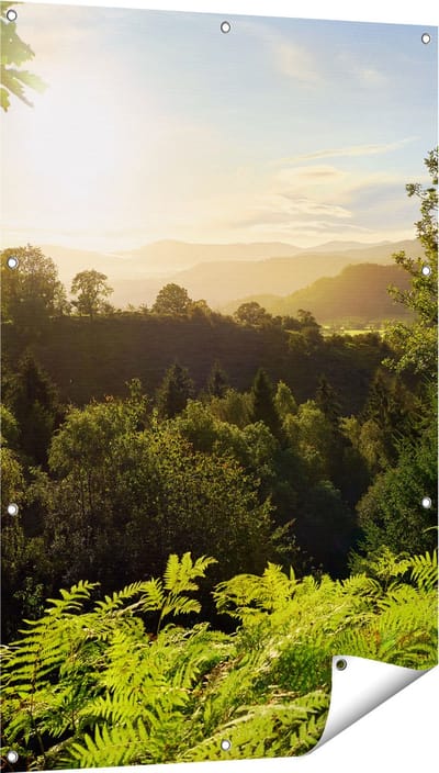 Gards Tuinposter Zonsondergang vanuit een Bos - 80x120 cm - Tuindoek - Tuindecoratie - Wanddecoratie buiten - Tuinschilderij