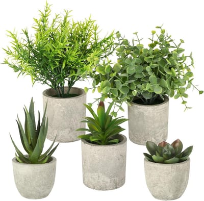 SnelShoppen - 5-delige set mini kunstplanten - Realistische nep succulent planten - Perfecte decoratie voor woonkamer, slaapkamer en kantoor - Compact