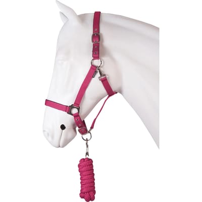 Horka Halsterset Dime Roze Maat Pony