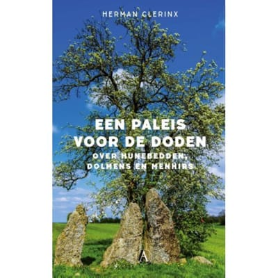 Een Paleis Voor De Doden - Herman Clerinx