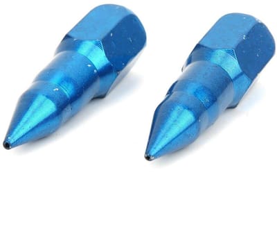 Cosensi - Dailygoods - Vetpistool Nozzle Set van 2 Stalen Injectoren voor Precisie Gebruik