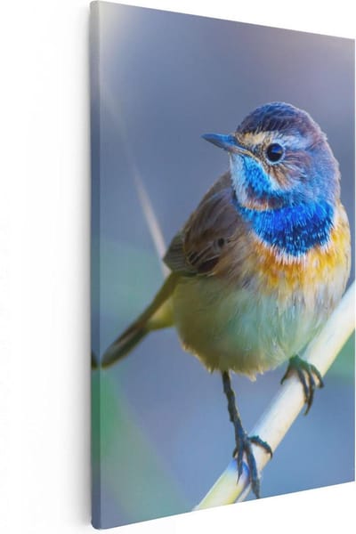 Artaza Canvas Schilderij Vogel Op Tak - 20x30 cm - Klein - Wanddecoratie Dieren - Muurdecoratie Woonkamer - Kamer Accessoires