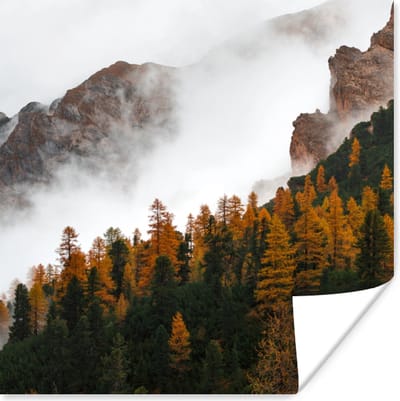 Poster Berg - Mist - Bos - 100x100 cm XXL