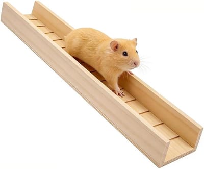 Houten helling met rand voor cavia's en kleine dieren, ideaal voor hamsters, ratten en chinchilla's