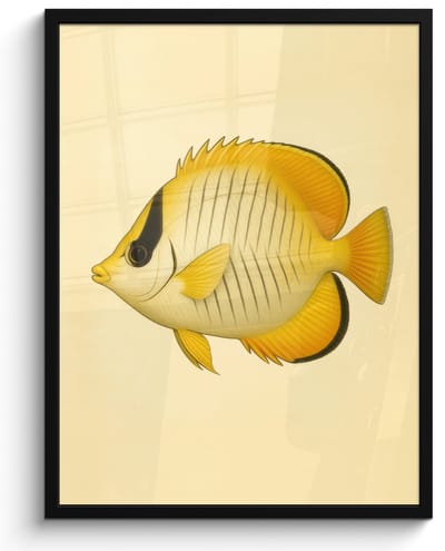 Poster in lijst - Fotolijst 60x80 cm - Posters - Ovaal - Vis - Geel - Schubben - Posterlijst zwart - Decoratie - Wanddecoratie woonkamer - Muurdecoratie slaapkamer