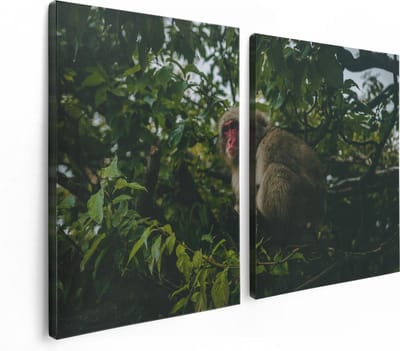 Artaza Canvas Schilderij Tweeluik Aap In De Boom Tussen De Bladeren - 120x80 - Foto Op Canvas - Canvas Print