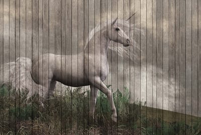Fotobehang fantasy 3 DD113957 Livingwalls Walls by Patel | 3D Fotobehang op maat