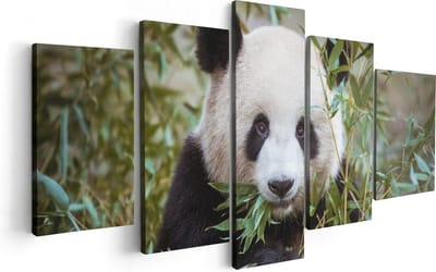 Artaza Canvas Schilderij Vijfluik Panda Eet Planten - 100x50 - Foto Op Canvas - Canvas Print