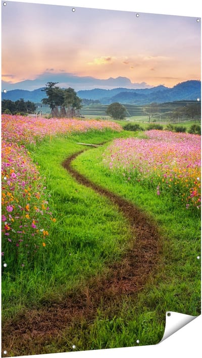 Gards Tuinposter Kosmos Bloemenveld met een Pad - Bloemen - 120x180 cm - Tuindoek - Tuindecoratie - Wanddecoratie buiten - Tuinschilderij