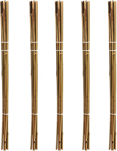 Pro Garden Plantenstokken - 50x - bamboe - H79 cm - plantensteun - bamboestokken/tonkinstokken