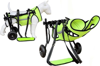 Hondenrolstoel Twee Wielen - Hond Trolley Hulp - Mobiliteit Herstellen - Verstelbaar Lichtgewicht Frame - XS - Fluorescerend Groen