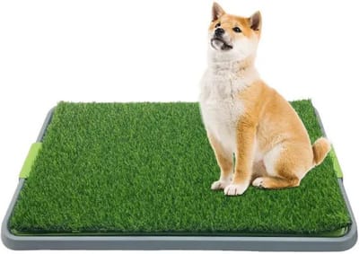 Pawsource Hondentoilet Kunstgras - Geurafstotend - 62 x 49 x 6.6 CM - Honden Wc Outdoor - Zindelijkheidstraining Hond - Puppy Pads - Dierentoilet